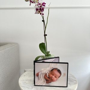 Cuadro de 4 fotos
